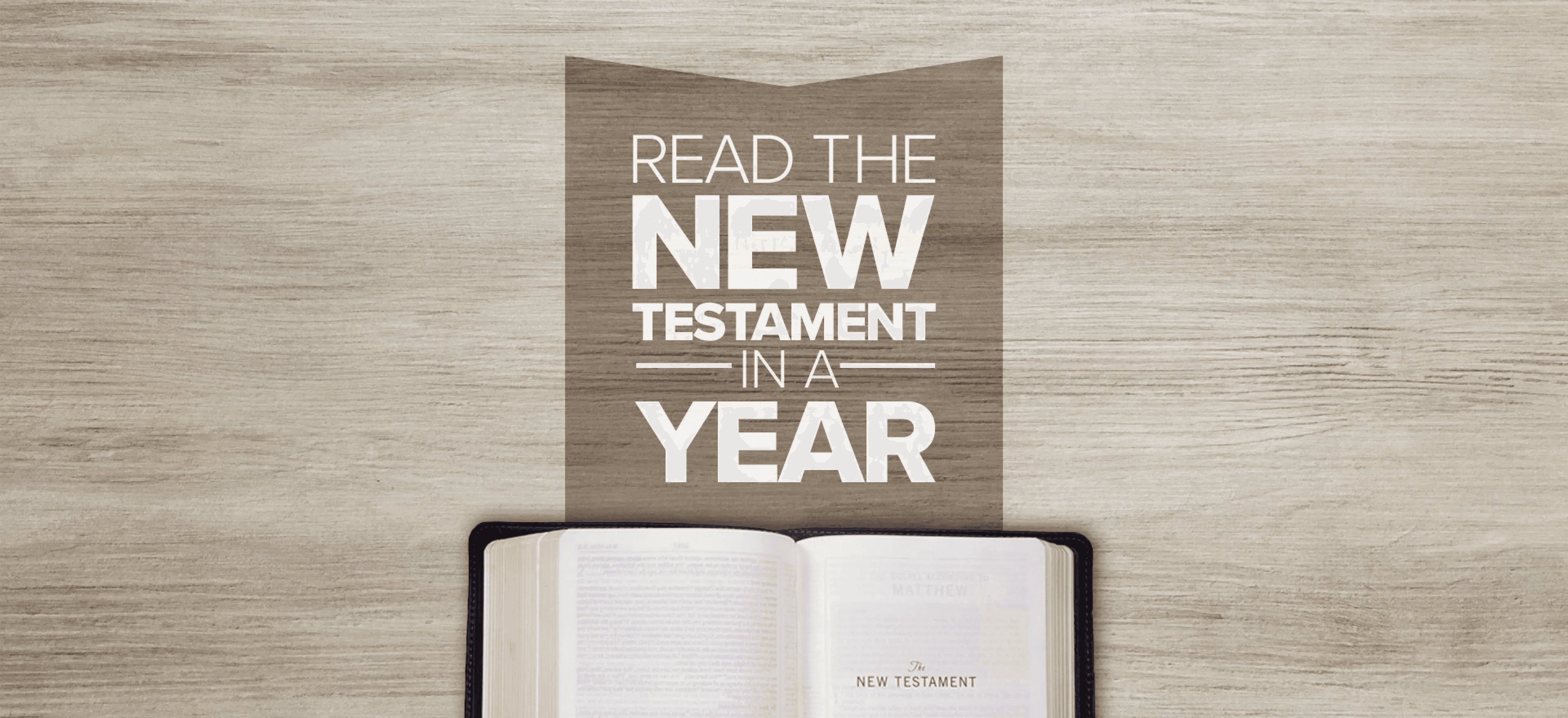 New Testament Bible in a Year at Your Pace