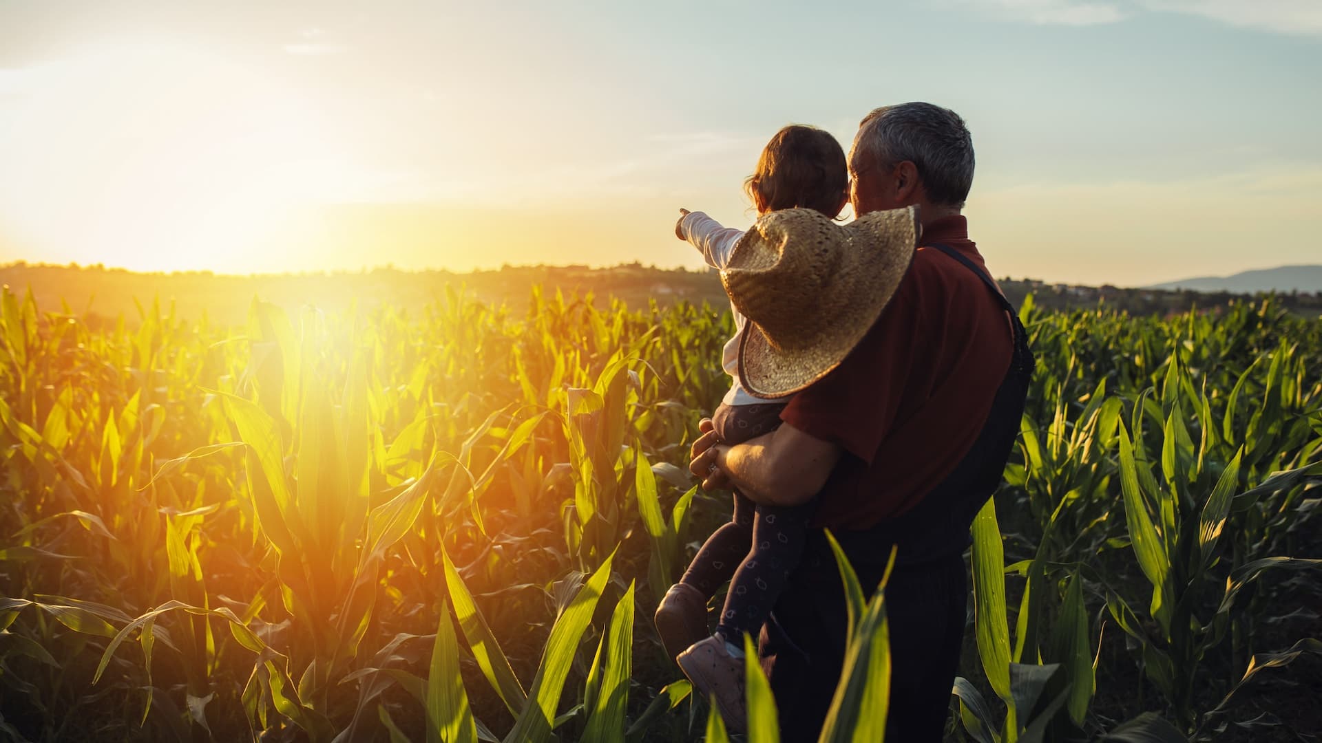 Harvest Reading Plan