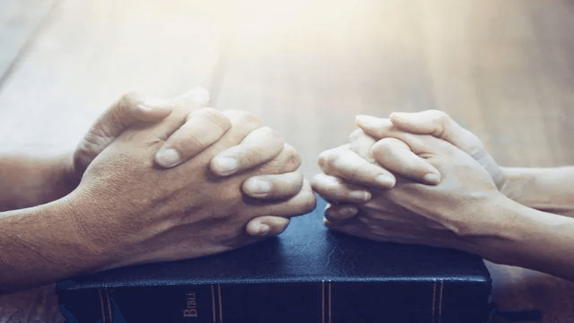 Copy 4 - The Faith That Pleases God